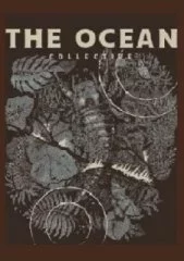 The Ocean