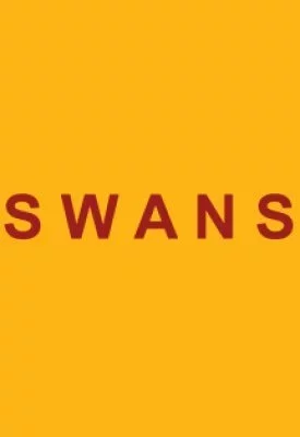 Концерт Swans